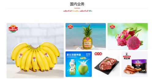攜手并進，共創未來 佳農集團與巧廚供應鏈合作項目正式啟動